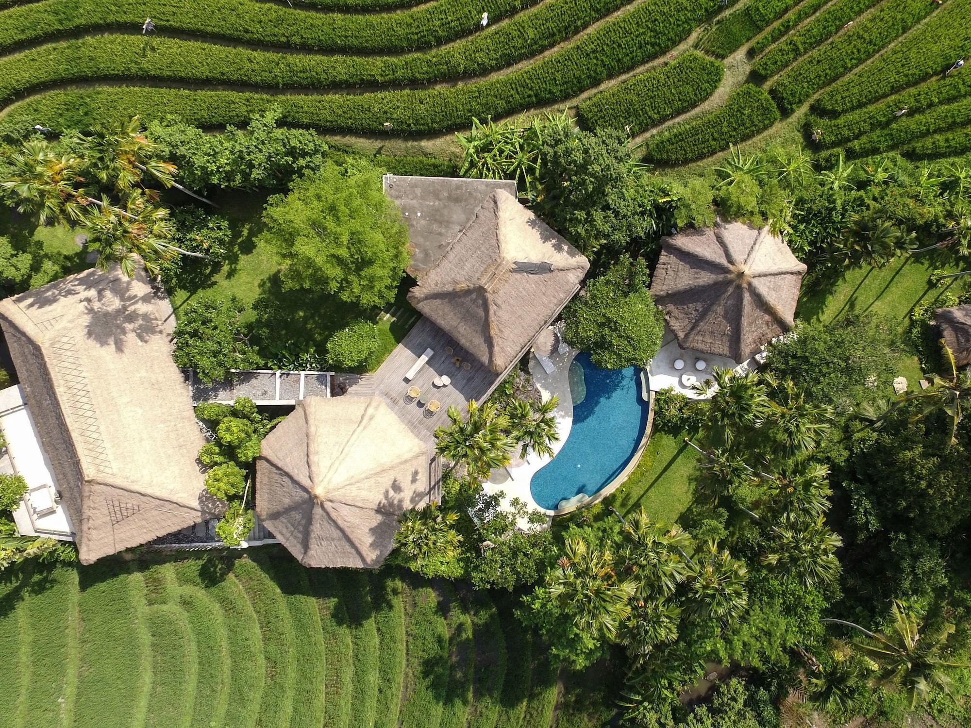 Planta Boutique Resort Canggu  Luaran gambar